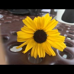 Meet your Posher, Mia